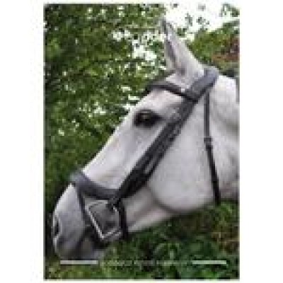 Ecorider Ecolux Comfort Bridle Super SOFT Padded Nose Head Browband  CLEARANCE 