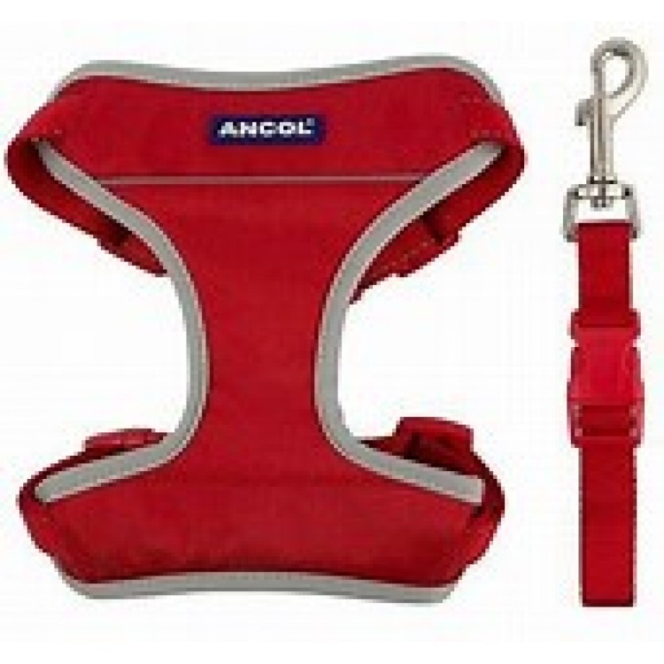 Ancol Dog Car  Harness