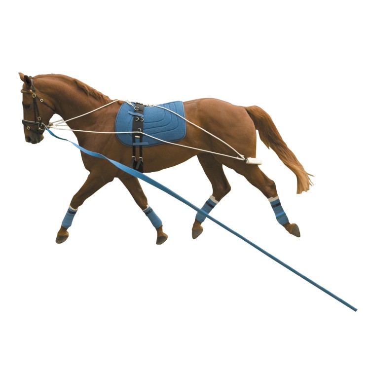 Best Of Horse Training System incl. Roller and Girth