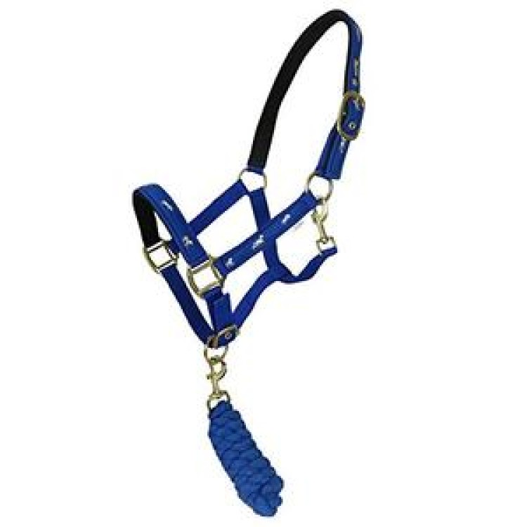 Best on Horse Head Collar with Horse Motif and Rope