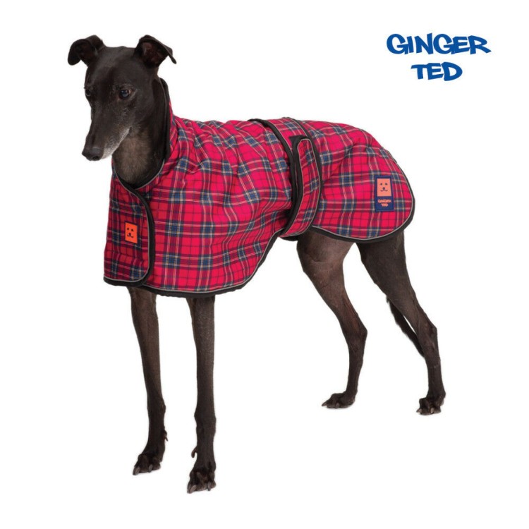 Ginger Ted Shower Greyhound Coat