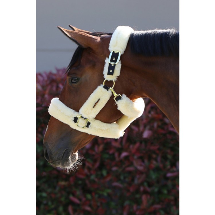 Kentucky Horsewear Sheepskin Shipping Head Collar.