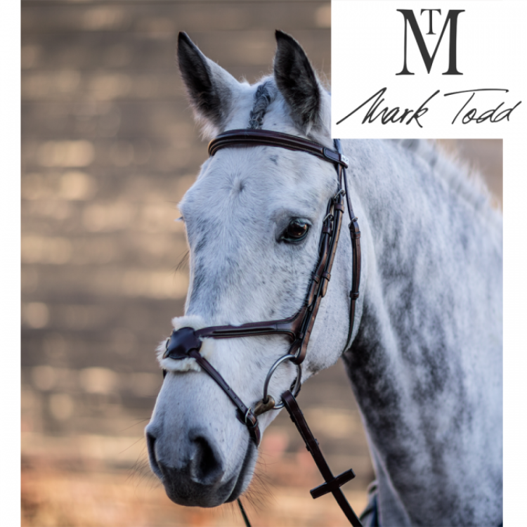 Mark Todd Performance Figure of 8 Bridle